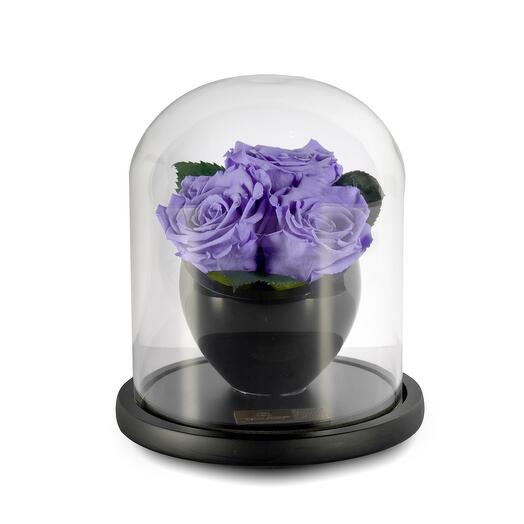 Violet Preserved Roses in crystal vase Trio