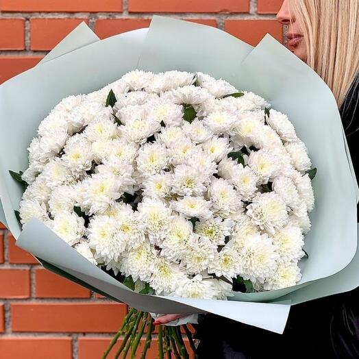 Монобукет из кустовой хризантемы Алтай (25 шт)