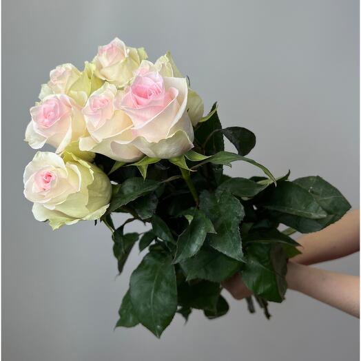 7 soft pink roses