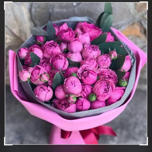 Rosa arbusto piano prominente 💖 💖 💖