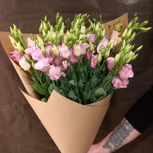 Eustoma