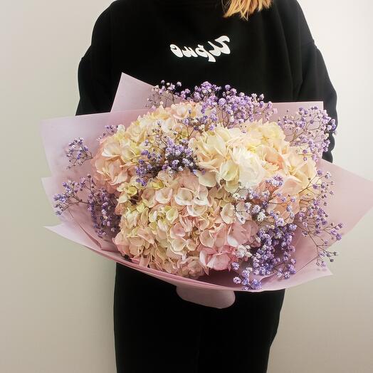Pink hydrangeas with gypsophila