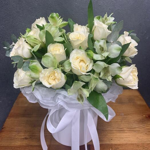 tenderness of white🌺 shades of white