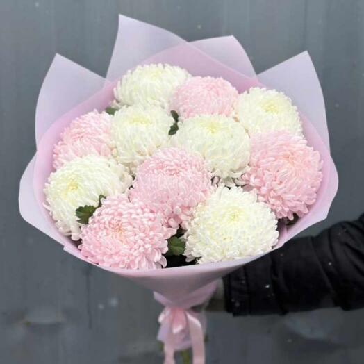 11 pink and white chrysanthemums