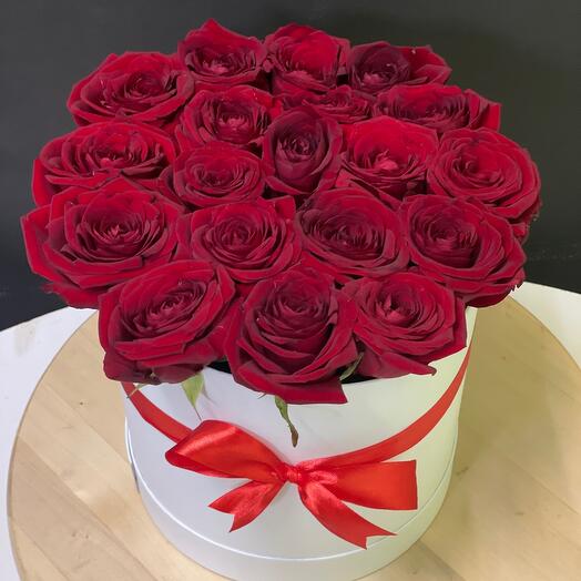 19 red roses in a box is a great gift