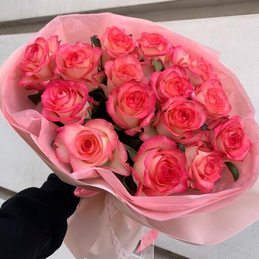 Rose jumilia 15 pieces