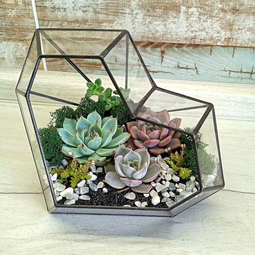 Florarium with succulents heart "In love...♥️"