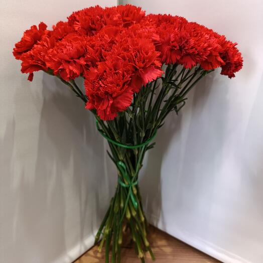 Гвоздика красная Голландия 30 штук