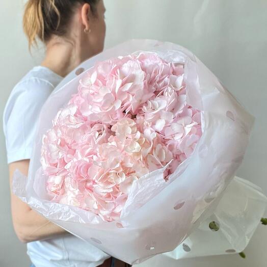 Bouquet of delicate pink hydrangeas