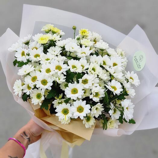 Солнечное утро