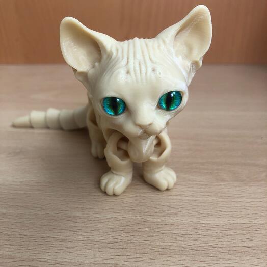 Котик baby