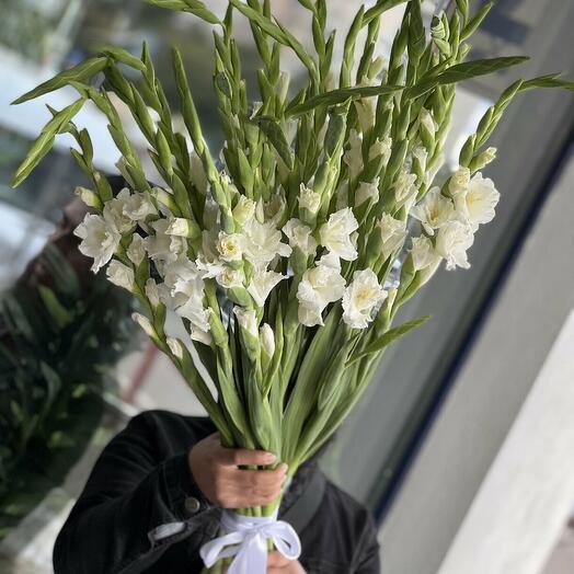 Букет из белых 19 Гладиолусов