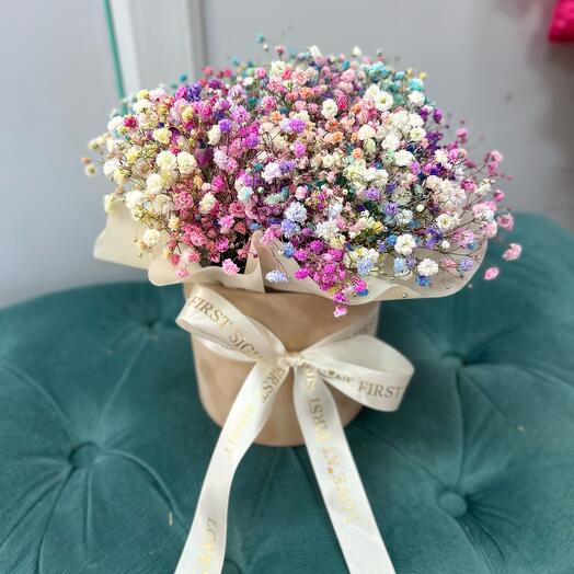 Gypsophiles with tenderness