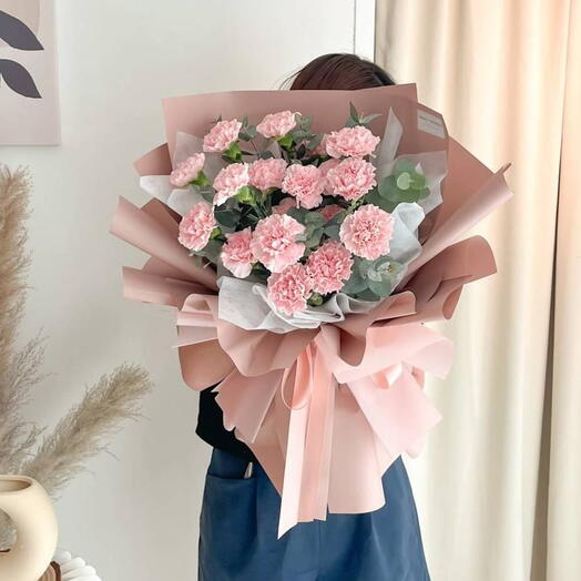 Pink Carnation Elegance for You