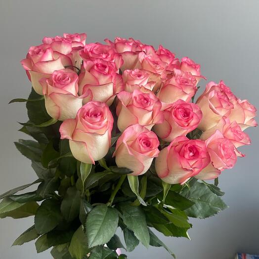 Розовые розы 25