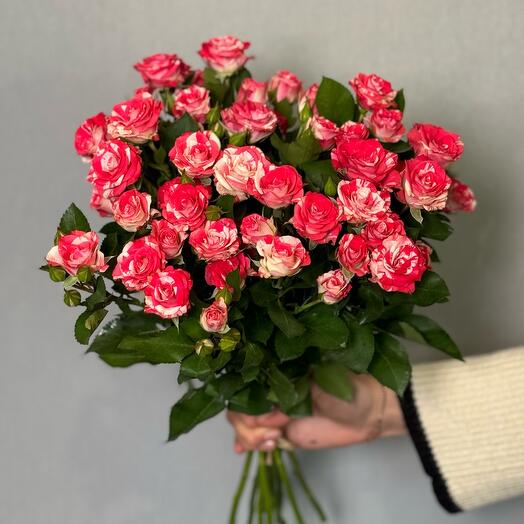 Роза кустовая двухцветная