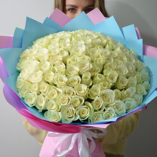 101 White Roses (AF)