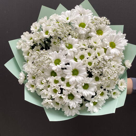 ПолеХризантем