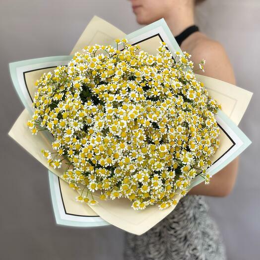 Grand Bouquet of Daisies