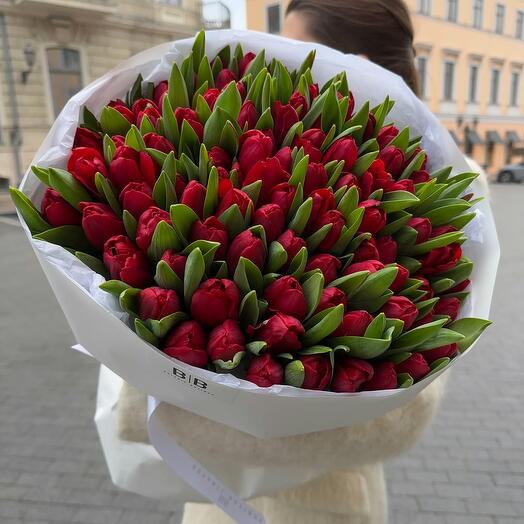 101 тюльпан классический