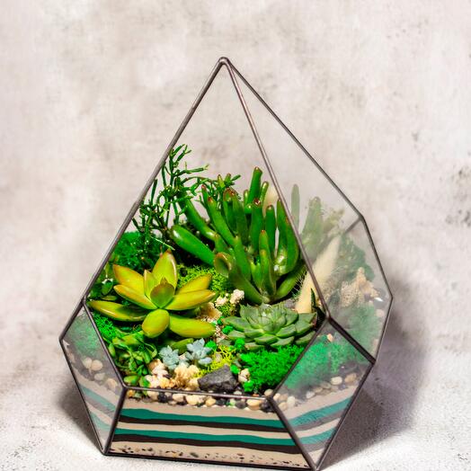 Флорариум M. Скай