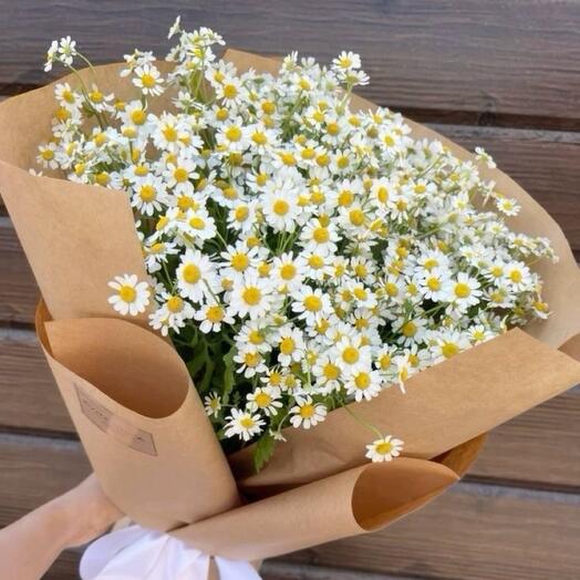 Букет из Ромашек