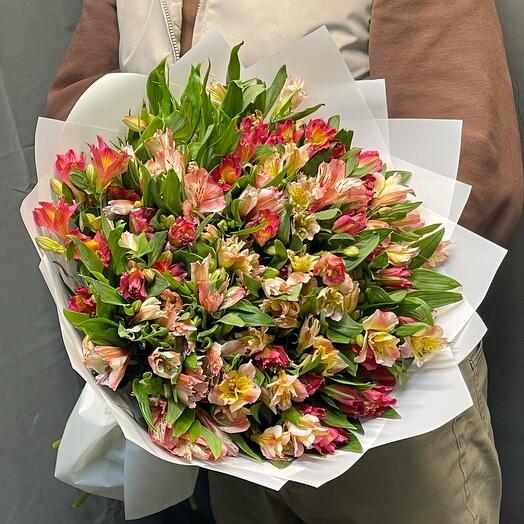 Mezcla de alstroemeria 31 piezas