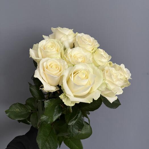 Rosas blancas 9pcs