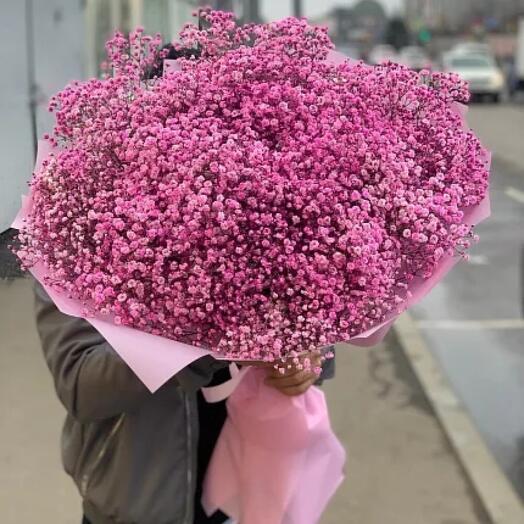 Гипсофила розовая