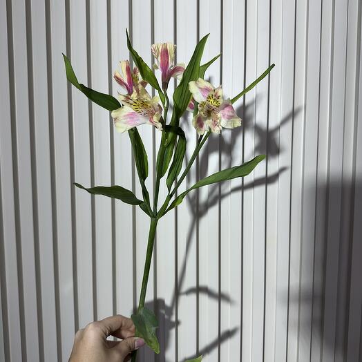 Альстромерия микс