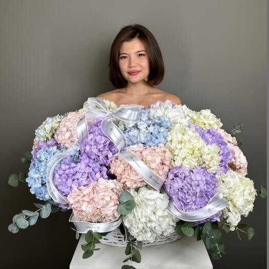 Композиция Мега