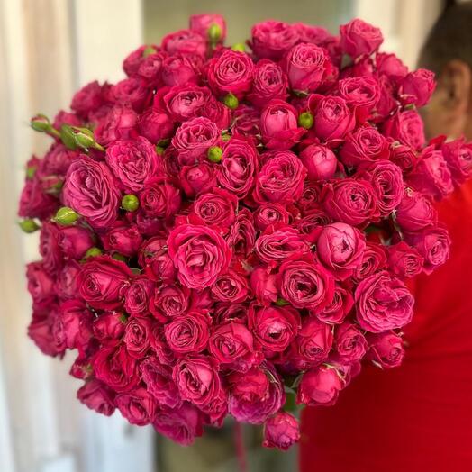 A bouquet of 41 bushy peony-shaped roses under a ribbon