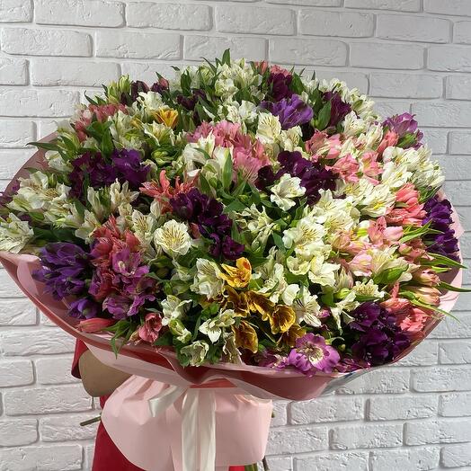 Перуанская лилия