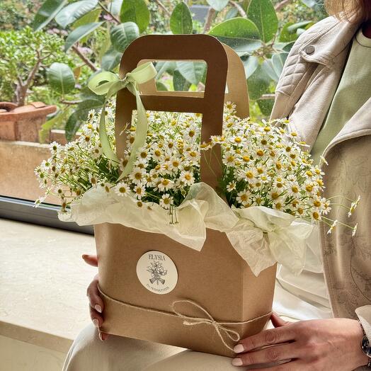Oh Daisy (Daisies basket)