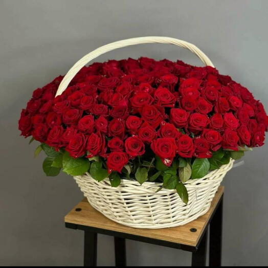 201 Premium Ecuador Red roses