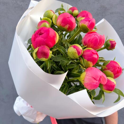 Пионы букет из 15 штук. Коралловые