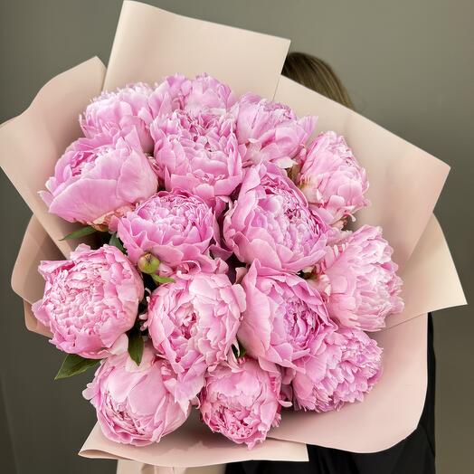 Пионы Сара Бернард (15 шт) 💝