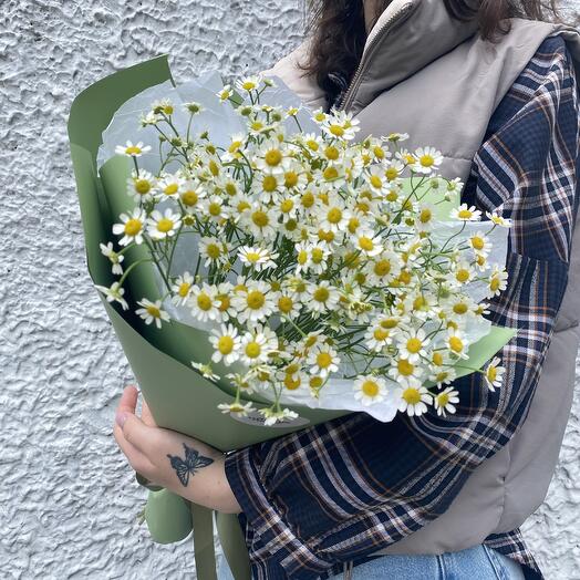 Летние ромашки