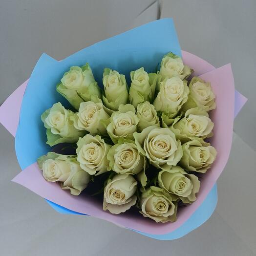 "Akito" 19 rosas