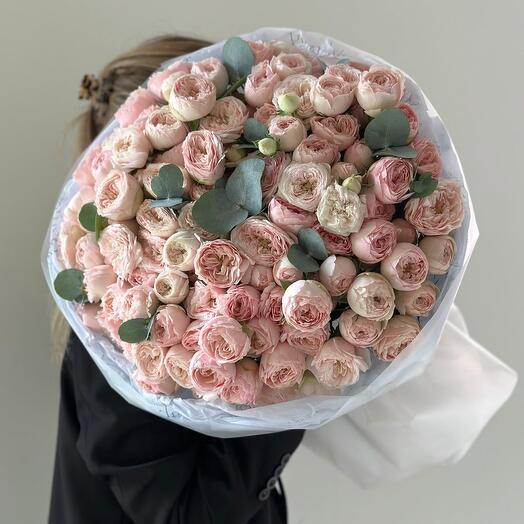 Пионовидные кустовые розы Mansfield