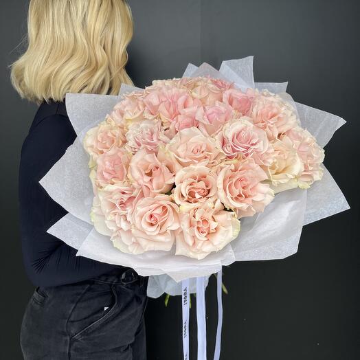 French roses 25 pink mondial