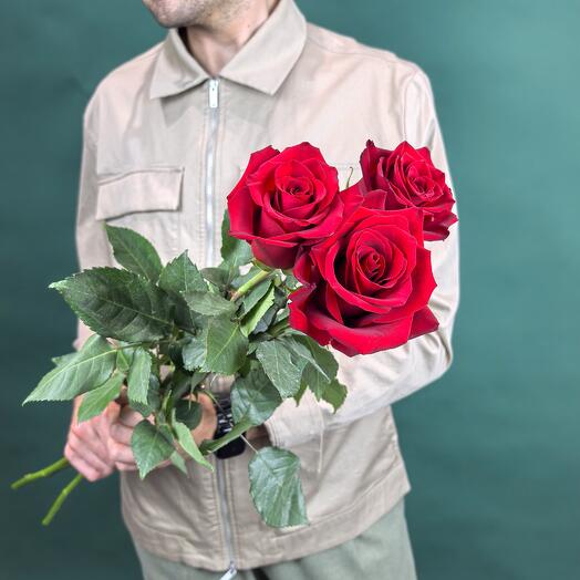 Красная роза Эксплорер Explorer 3 шт