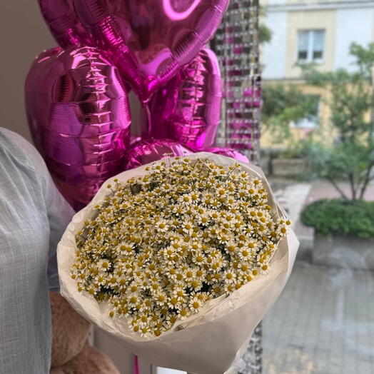Chamomile bouquet