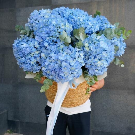 Корзина с гортензтей