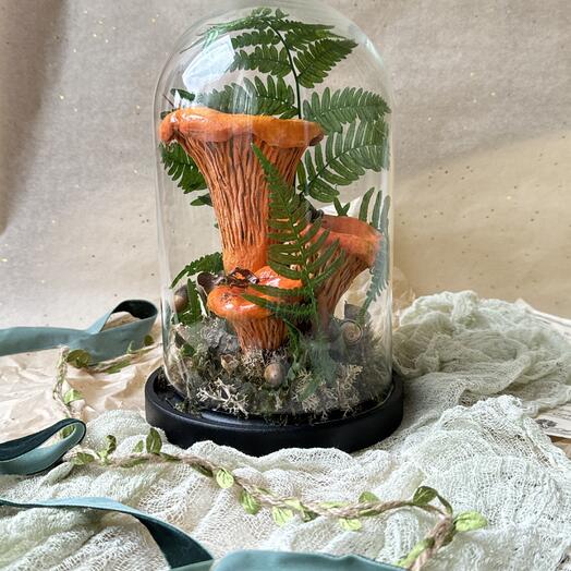 Капсула с лисичками