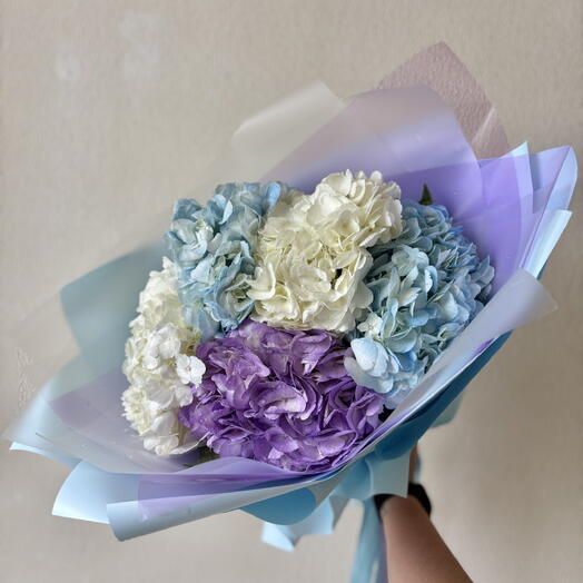 5 hydrangeas