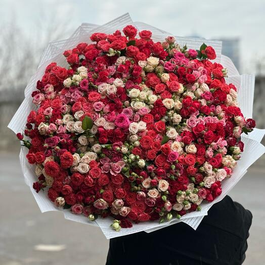 Роза кустовая Роза микс