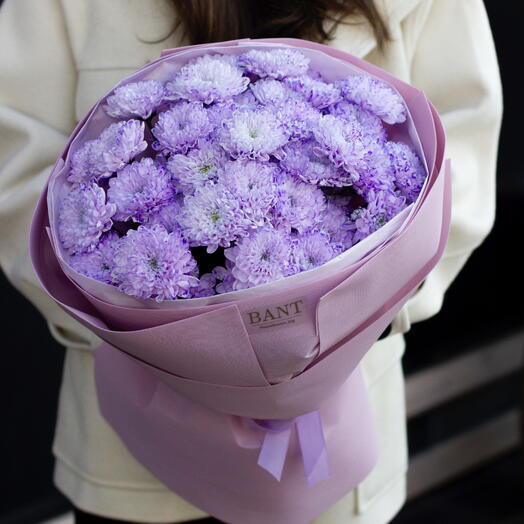 Сиреневые кустовые хризантамы