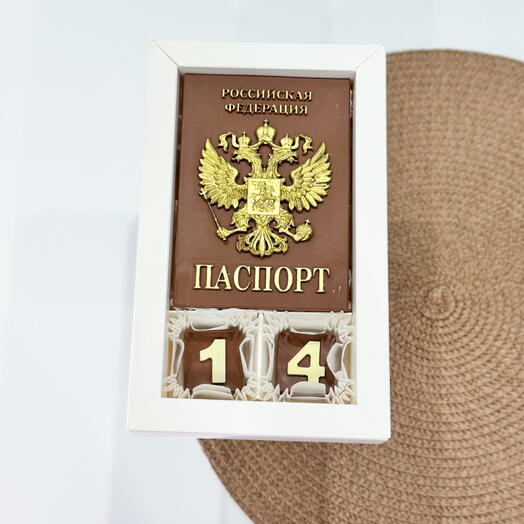 Паспорт
