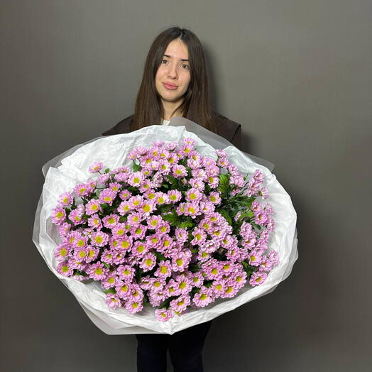 Букет из 25 ромашек розовых (хризантемы) 029